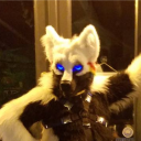 Avatar for Wolfy#5262