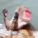 Discord user Rupa4Life