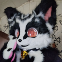 Avatar for ☣🦝Raccoon🦝☣