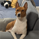 Discord user I'm nobody