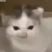 mija