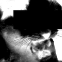 Profilepicture