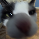 j...