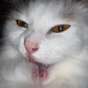 Henkka