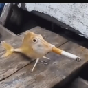 smokedfish