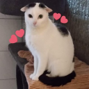 Avatar for MtnDewGoddess
