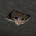 Discord user karl