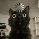 Discord user h...