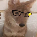 Avatar for Noz