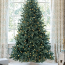 imri1273 (21$ earned)