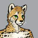 Avatar for Discovery