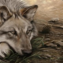 Profilepicture
