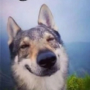 Avatar for God’s Silliest Warrior