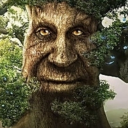 Discord user !lihtsaltrobin