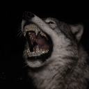 Avatar for ⋅⋆F͓u͓Z͓⋆⋅