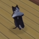 MRXD