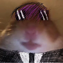 Profilepicture