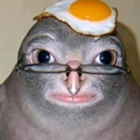 Profilepicture