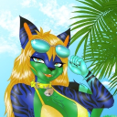 Avatar for Circuit Kitty