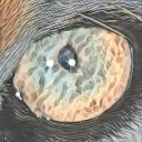 Sellerie, Staude's avatar