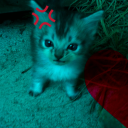 Romka5527
