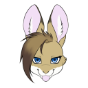 Avatar for SalemAdams