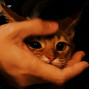 InHumanz_