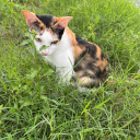 %E0%B8%9E%E0%B8%B5%E0%B9%88%E0%B8%84%E0%B8%AD%E0%B8%95%E0%B8%95%E0%B9%89%E0%B8%AD%E0%B8%99