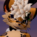 Avatar for WolfySucks