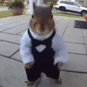 Avatar for Mousey