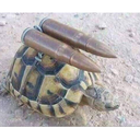 Bio-Engineered Assault Turtle