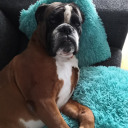 Discord user Lynxaria