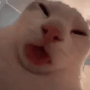 MRXD