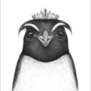 Discord user PenguinQueen