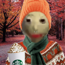 Avatar for p...