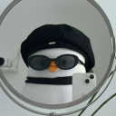 dng. avatar