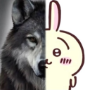 love linear algebra avatar