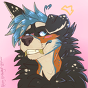 Avatar for s...