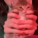 vyl