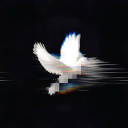 u...