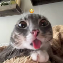 MRXD