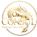 ! ConSul