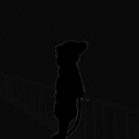 Avatar for ShadowVortex (Lord of the Fluff)