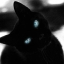 Avatar for ʚ Shinzo ɞ