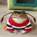 s...
