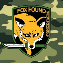Foxhound commander