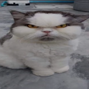 𝘍𝘢𝘳𝘻