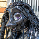 Avatar for ArcherWolf