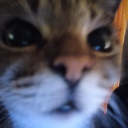 ɱɾ. R Λ V Ξ N #FreeMrFreeZe