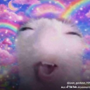 Profilepicture